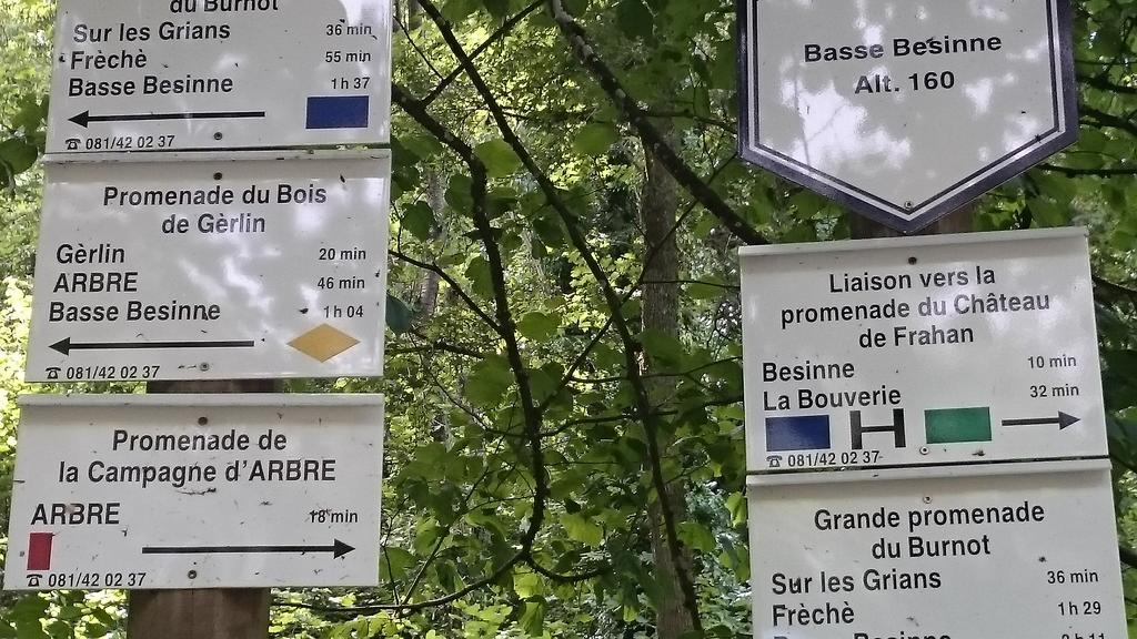 بروفونديفيل B&B Aux Anges المظهر الخارجي الصورة